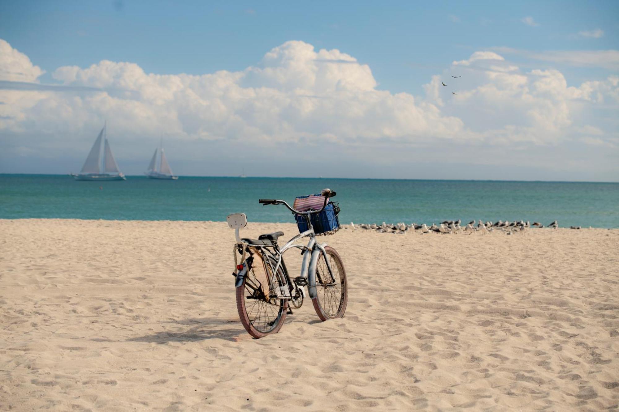 The Cove By Renzzi (Adults Only) Hotell Miami Beach Eksteriør bilde